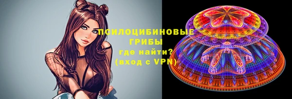 прущие грибы Аркадак