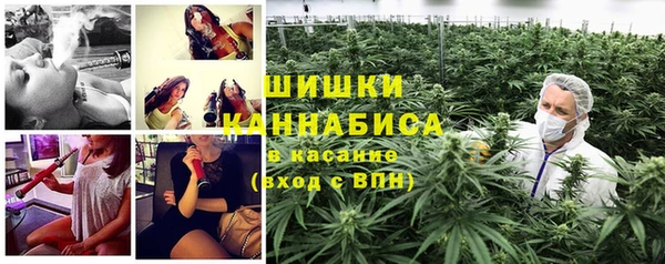 прущие грибы Аркадак