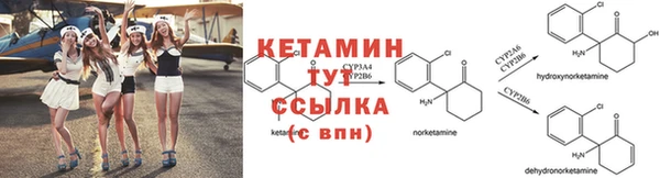 прущие грибы Аркадак